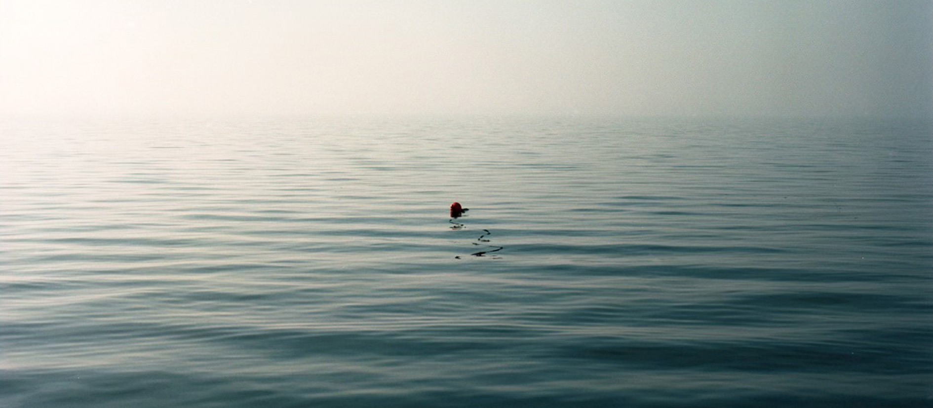 headerphoto